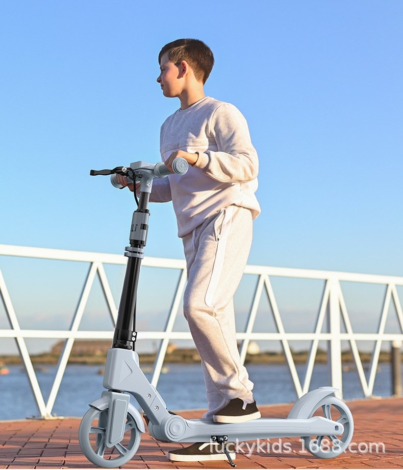 Спортивный скейтборд SWAY для детей и взрослых оптом