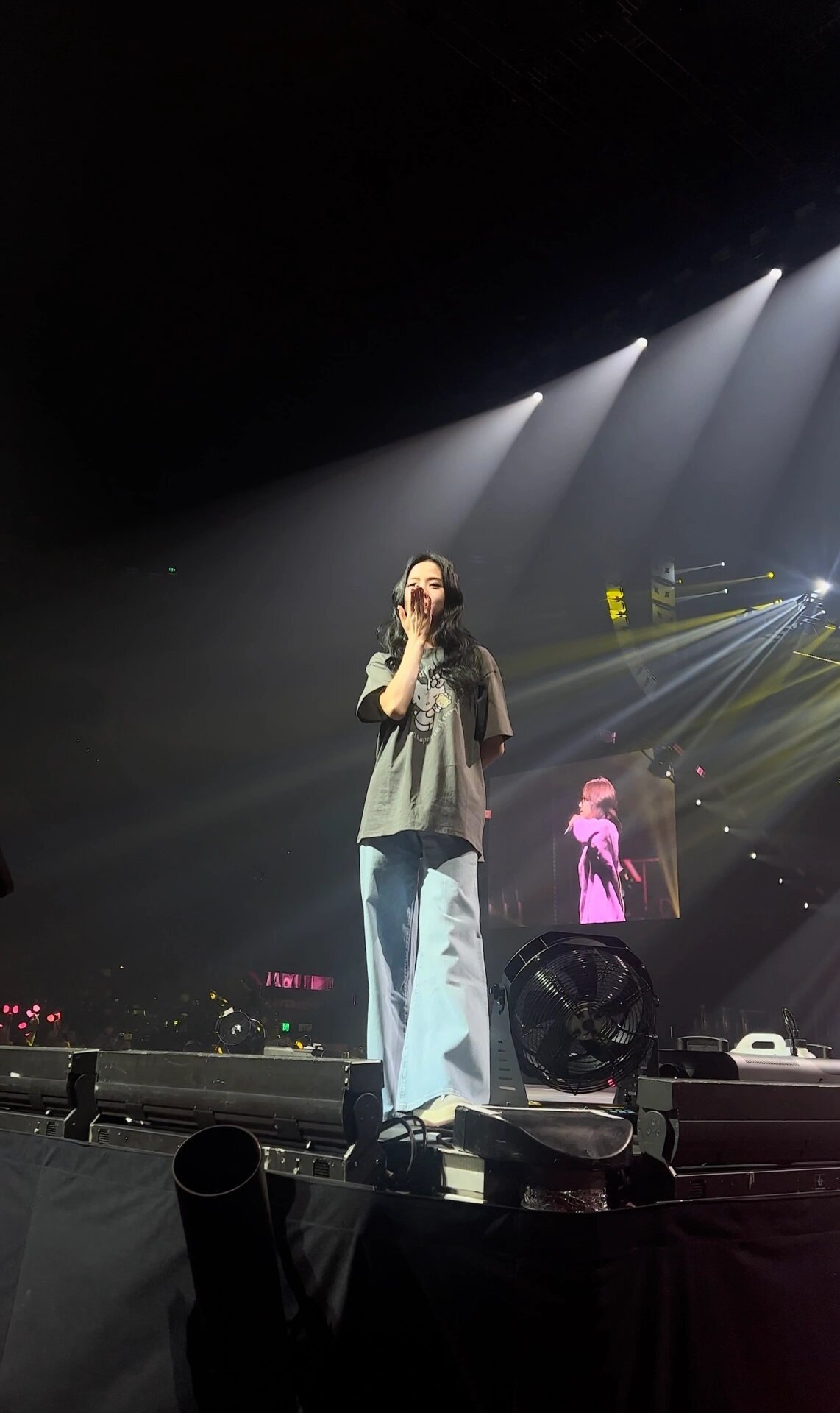 Кот Кетти широкая свободная футболка с коротким рукавом оптом