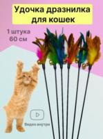 Игрушка для кошек GO-DZ- 6 / К 1000/ В 8 анонс фото