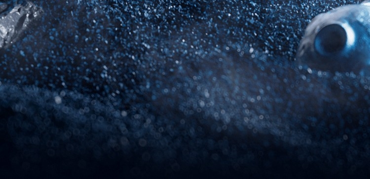 Мужская игрушка для взрослых оптом из Китая