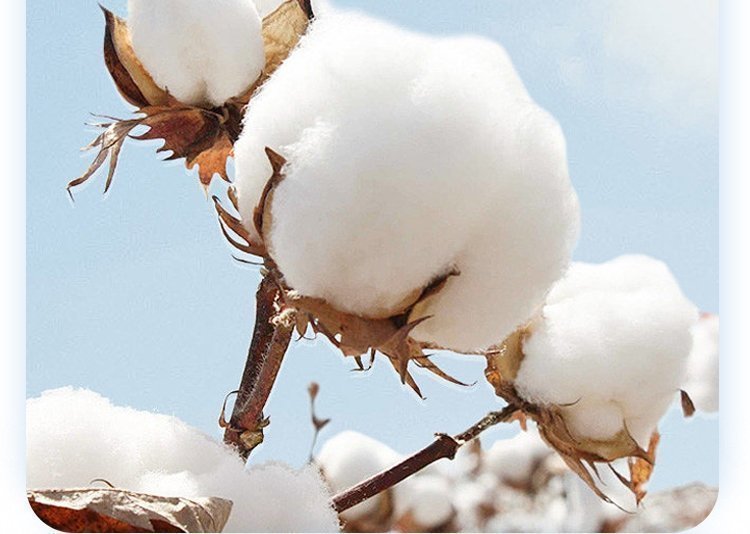 Короткий рукав T-рубашка для мужчин среднего возраста оптом