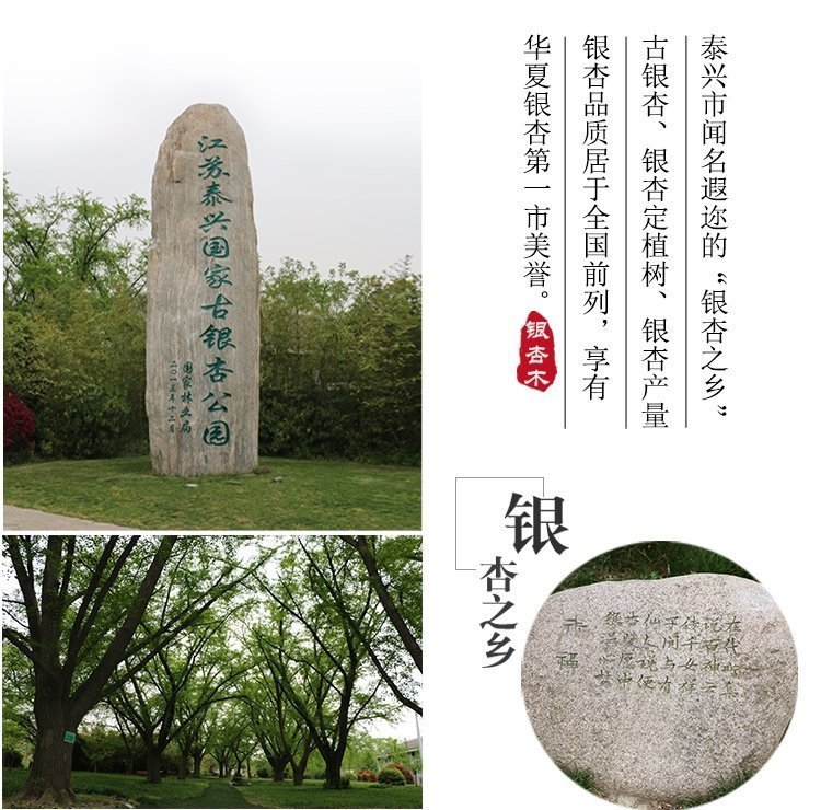 Белая доска из китайского ореха оптом