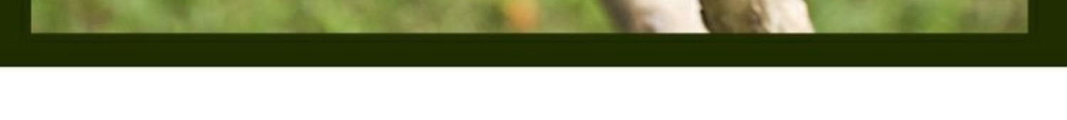 Плетеная корзина для хранения оптом