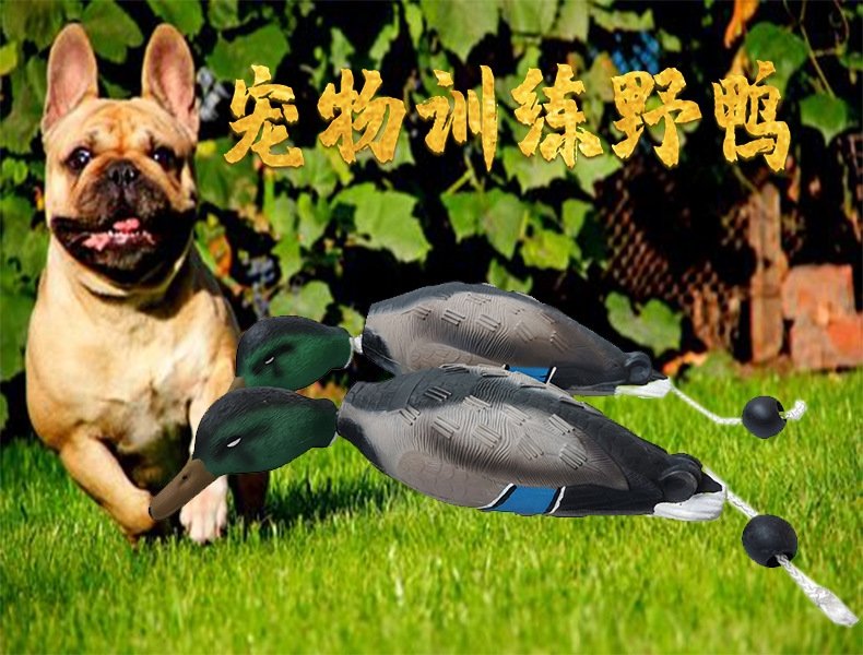 Игрушка для тренировки собак EVA Foam Duck оптом из Китая