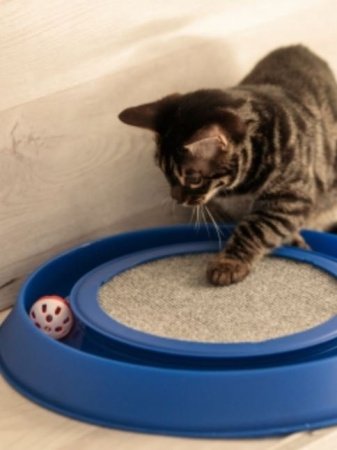 Игрушка - когтеточка для кошек GO-DZ- 14 / К 20/ В 12 детальное фото