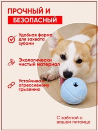 Игрушка - мяч для собак GO-DS-19/blue К100 / В15 детальное фото