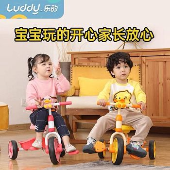Детский трехколесный велосипед Luddy LD-1023S изображение