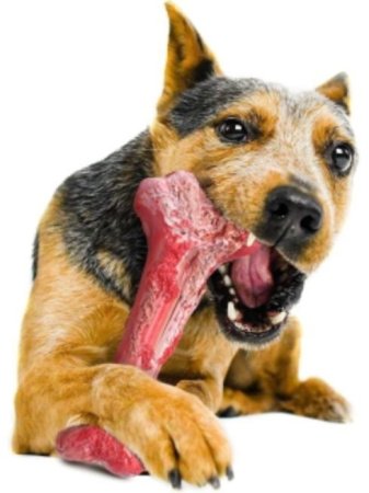 Игрушка - кость для собак GO-DS- 20/ burgundy color К50 / В17 детальное фото