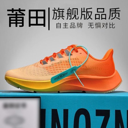 Кроссовки для бега Nike Zoom Pegasus 39 фото