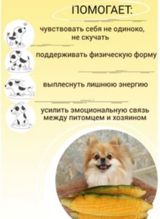 Мягкая игрушка для собак GO-DS-15/corn К50 / В17 детальное фото