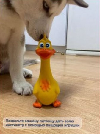 Игрушка для собак из латекса GO-DS-5/ К150 / В22.5 детальное фото