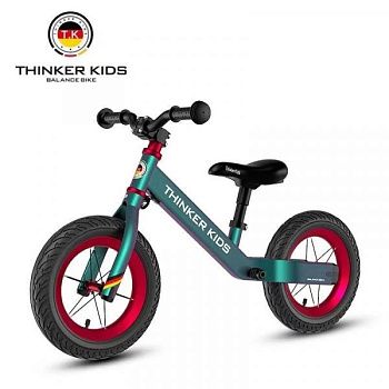 Детский балансир ThinkerKids TK изображение