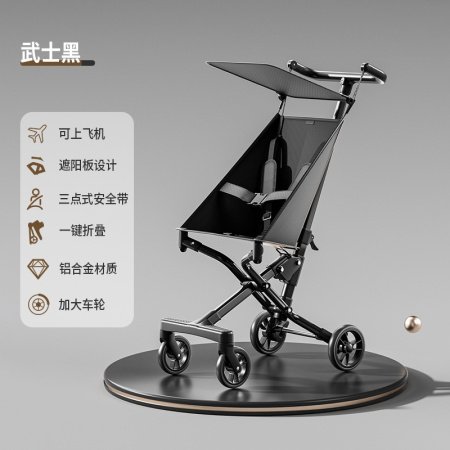 Детская коляска Hopkids A6 фото