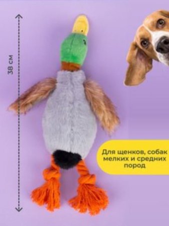 Мягкая интерактивная игрушка для собак GO-DS-2/ К130 / В11 детальное фото