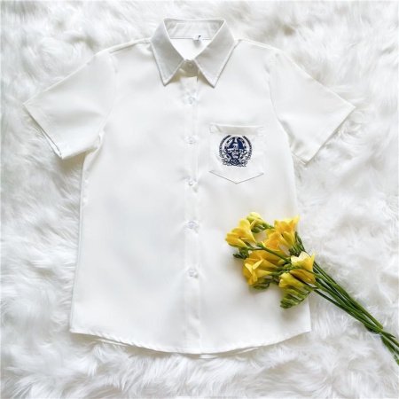 Детская школьная рубашка с коротким рукавом изображение