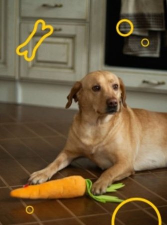 Мягкая игрушка для собак Морковка с пищалкой GO-DS-8/ К50 / В17 детальное фото